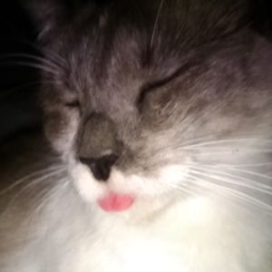 Meet your Posher, Adri